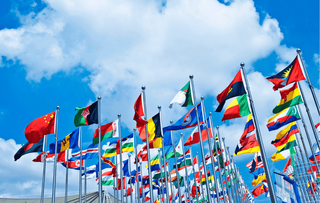 Exporter ses vins - comment choisir les bons marches à l’international